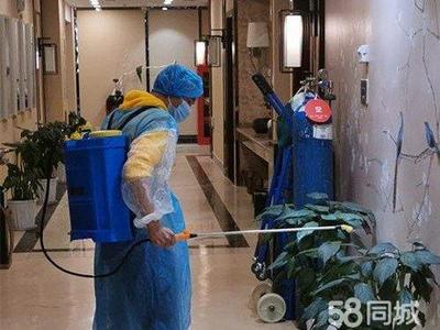 專業保潔服務 從美縫除醛到衣櫥整理，全方位守護家居健康